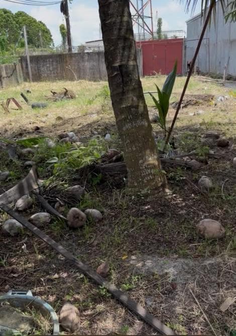 Commercial land for rent — photo 4