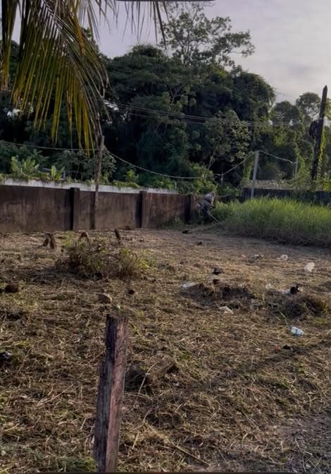 Commercial land for rent — photo 2